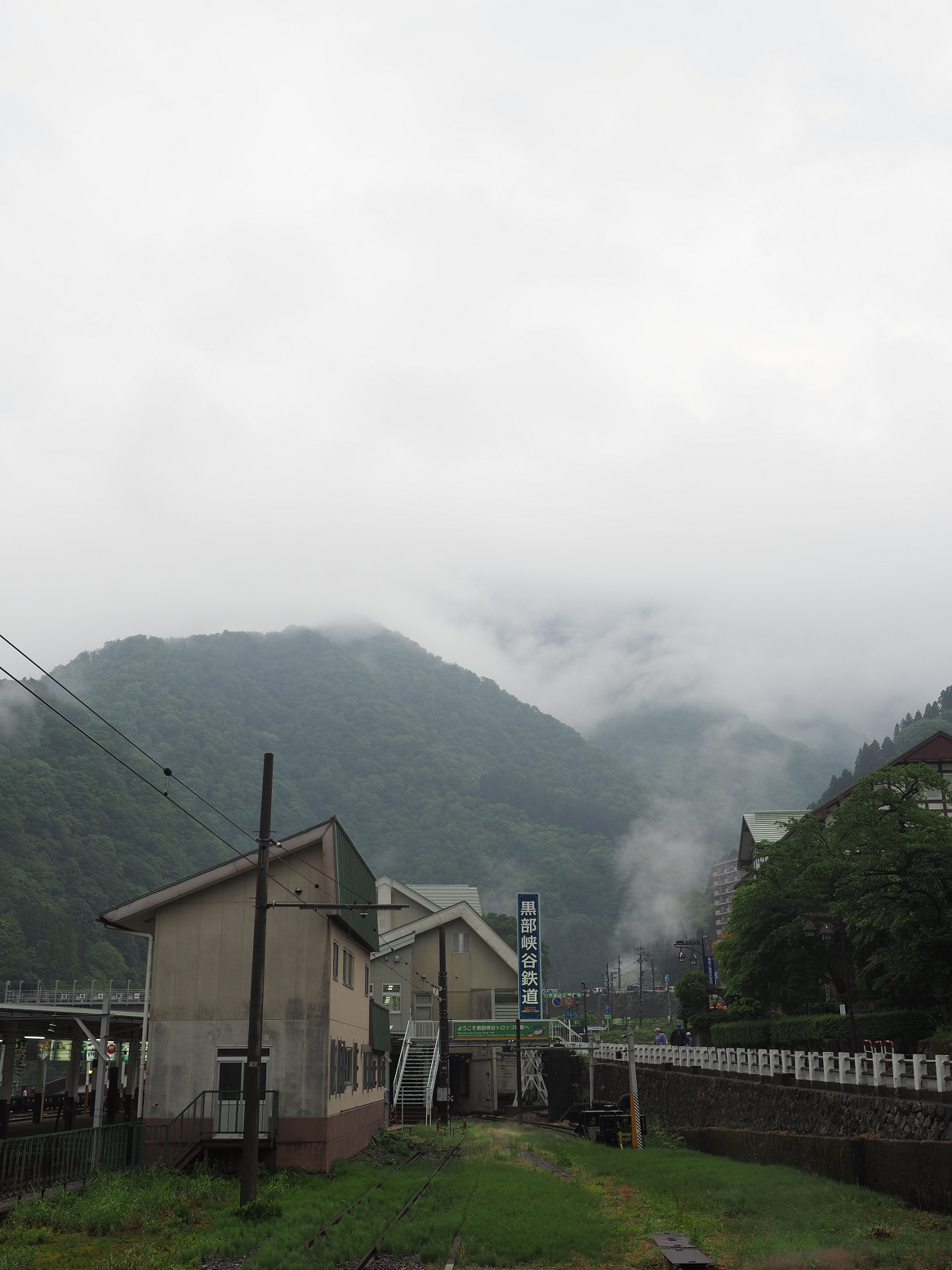 P5311699.jpg