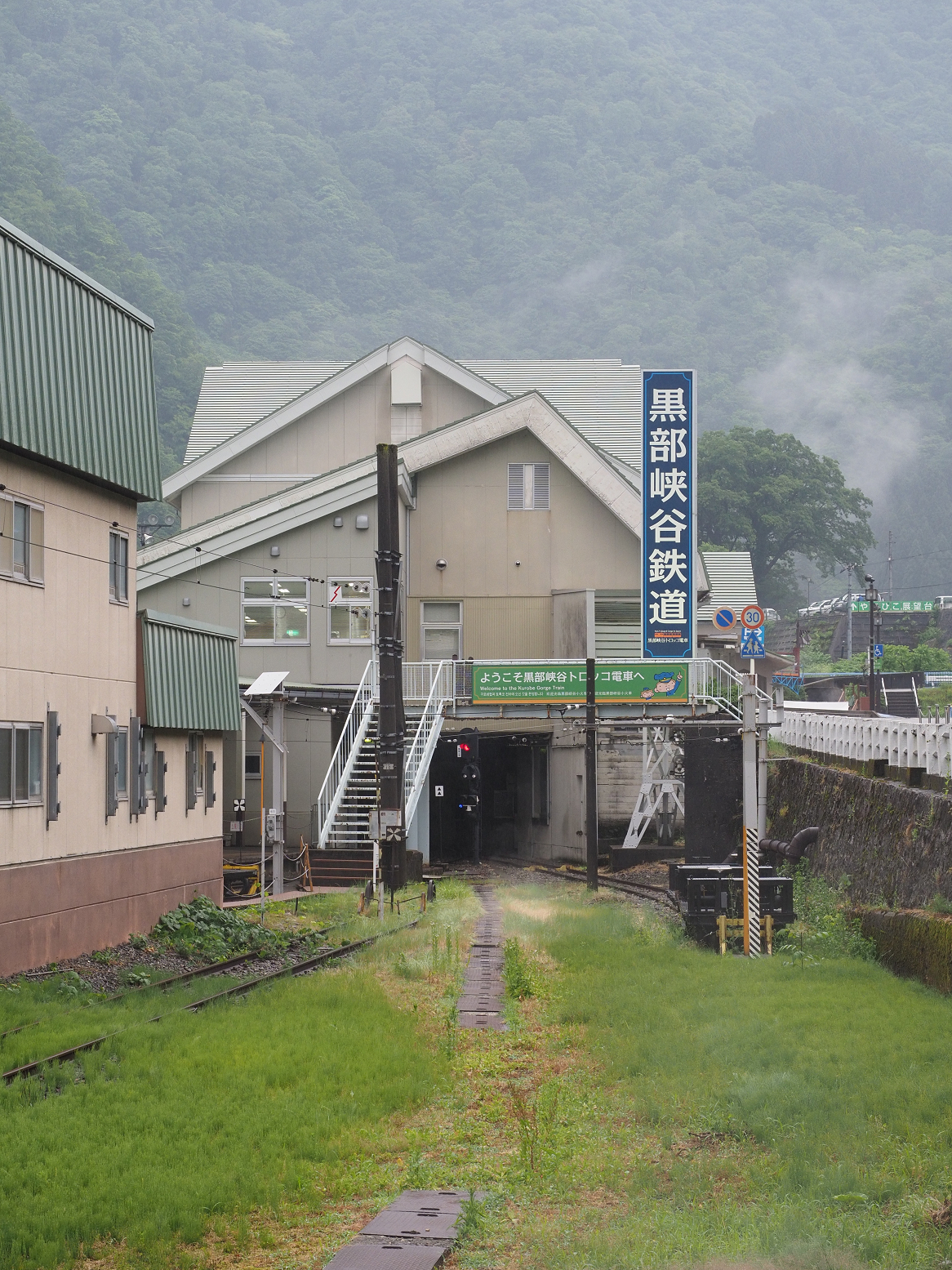 P5311705.jpg