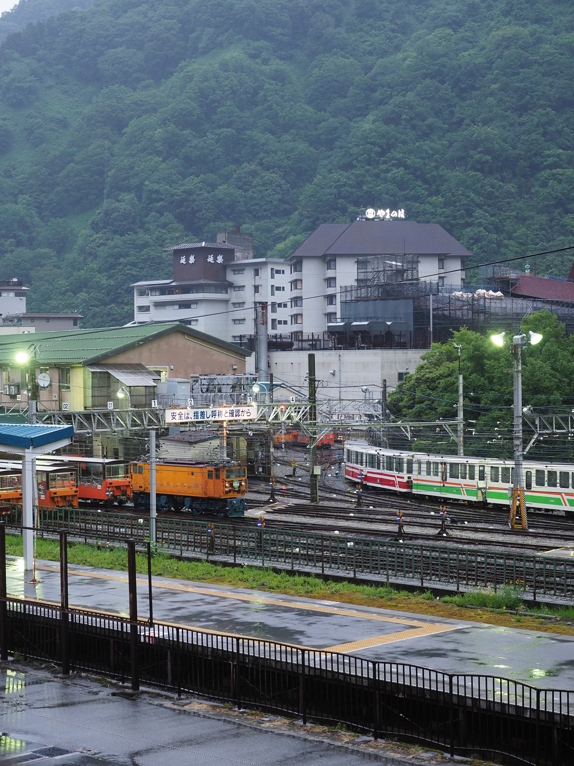 P5311749.jpg