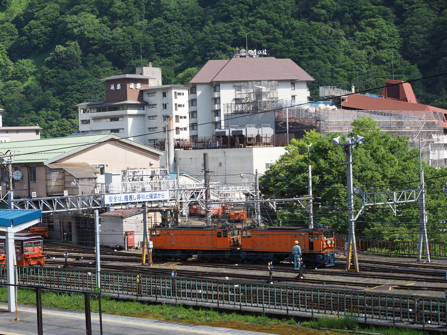 P6011824.jpg