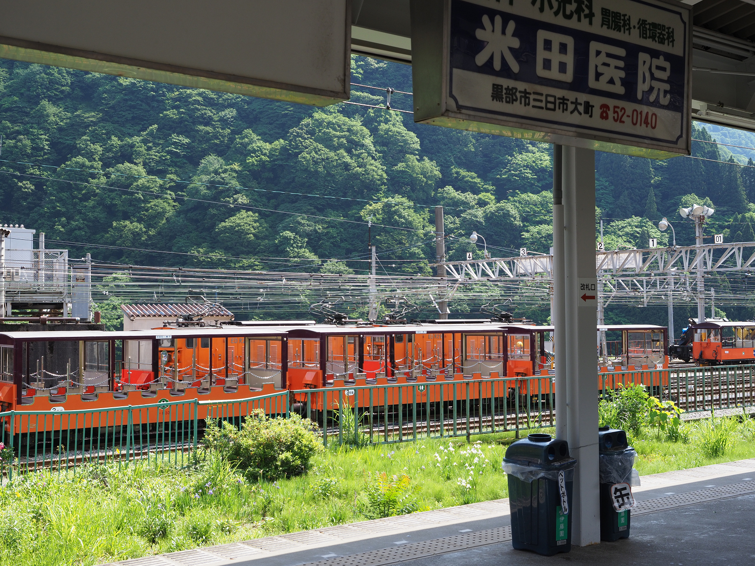 P6011865.jpg