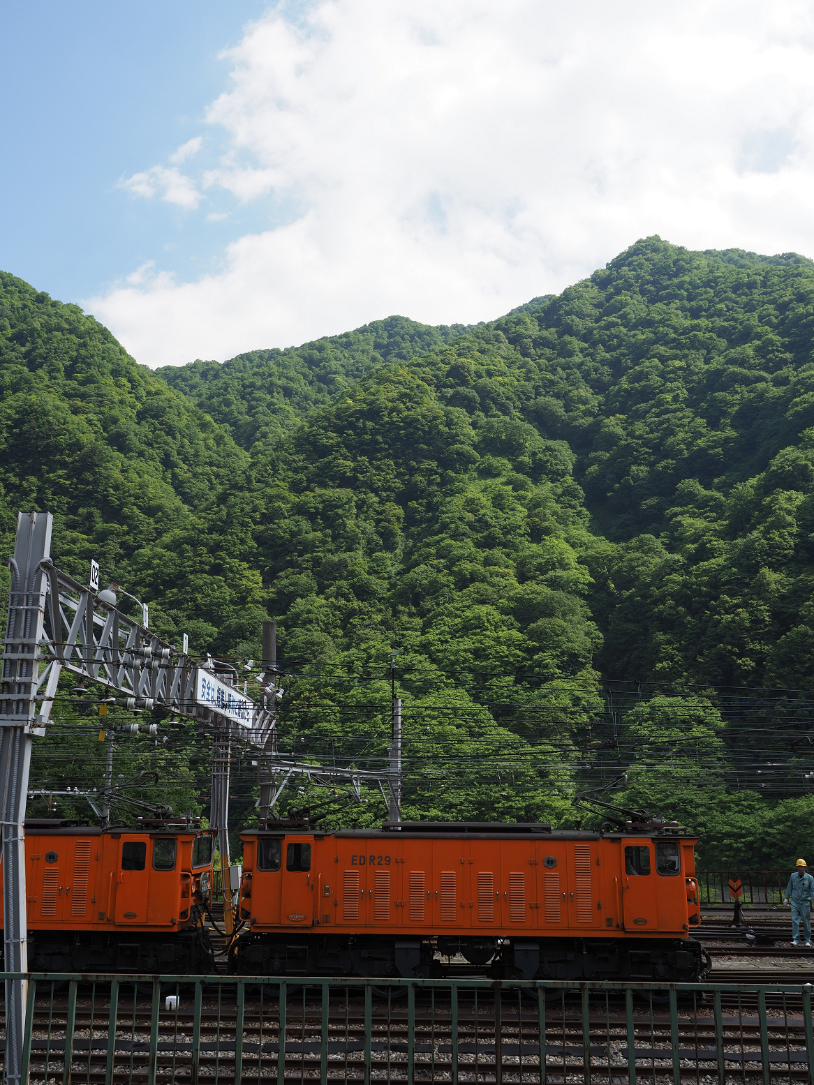 P6011875.jpg