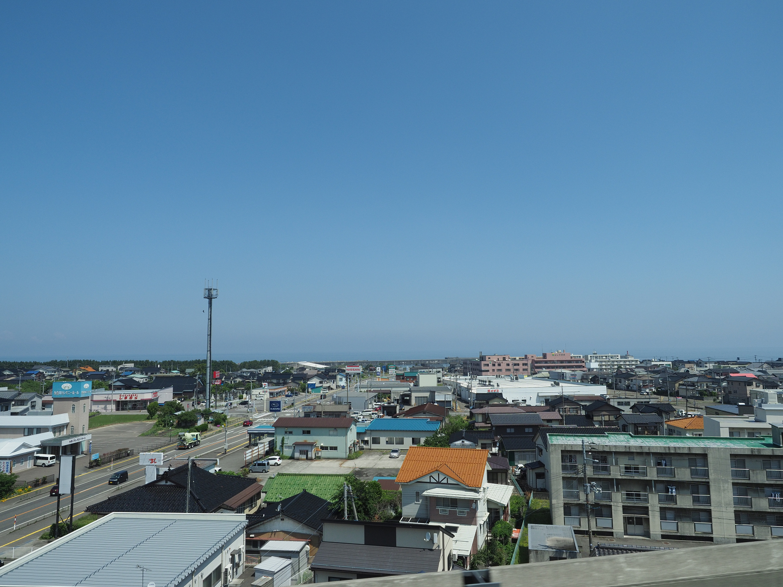 P6011942.jpg