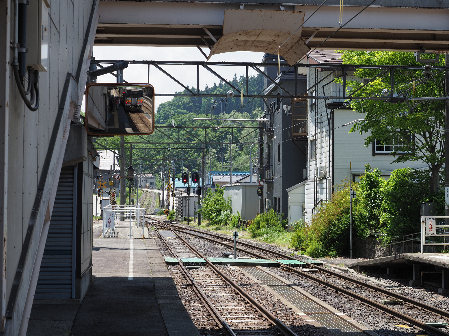 P6012016.jpg