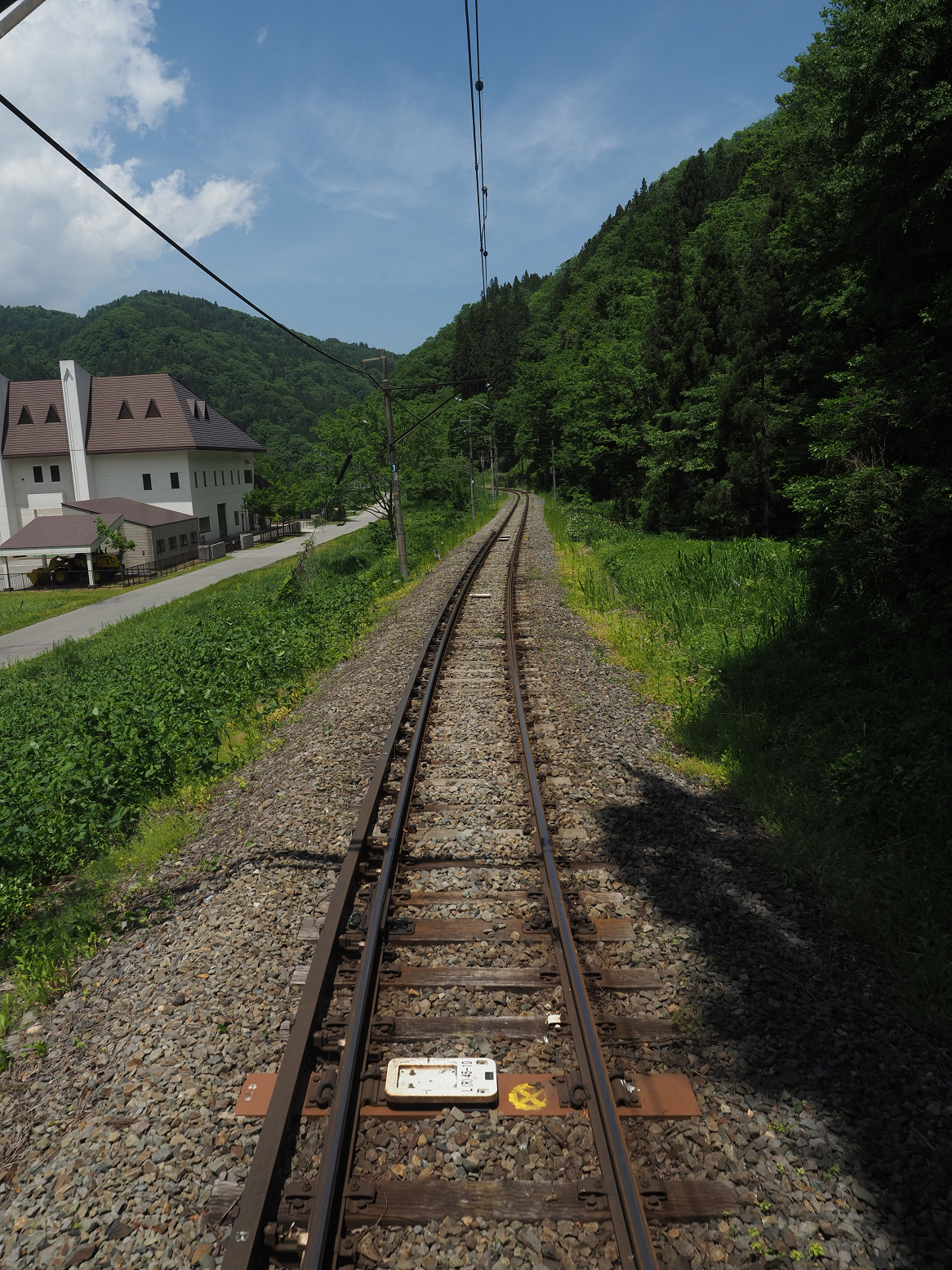 P6012118.jpg