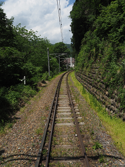 P6012120_thumb.png