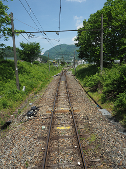 P6012127_thumb.png