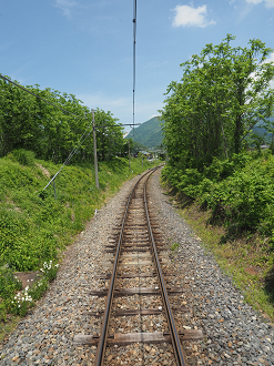 P6012128_thumb.png