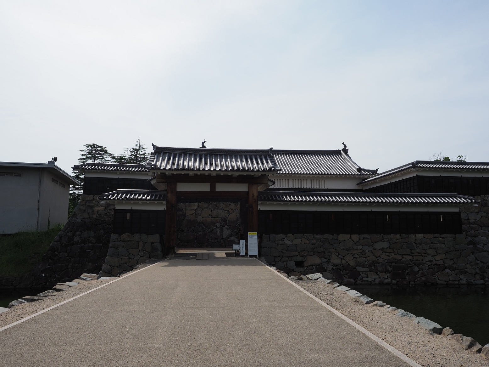 P6012190.jpg