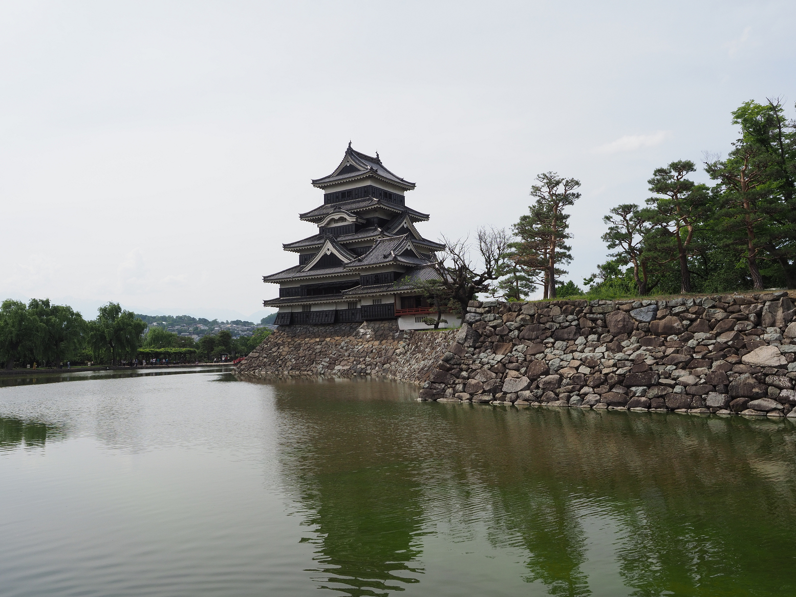 P6012200.jpg