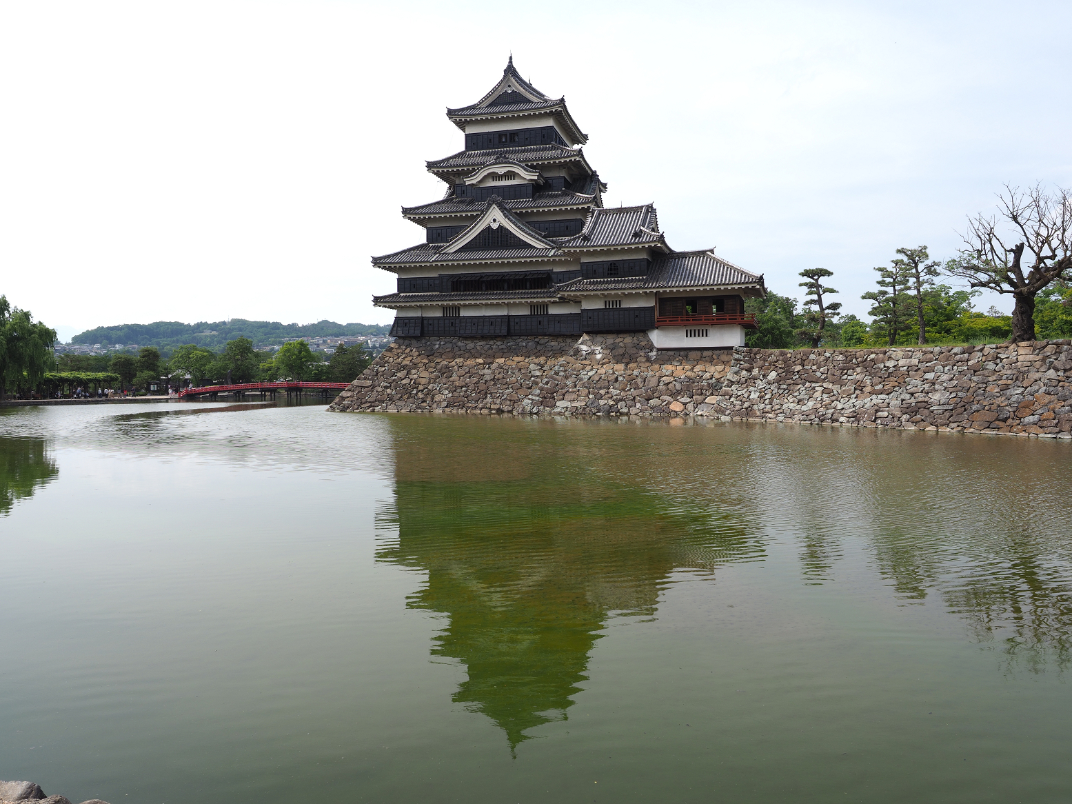 P6012211.jpg