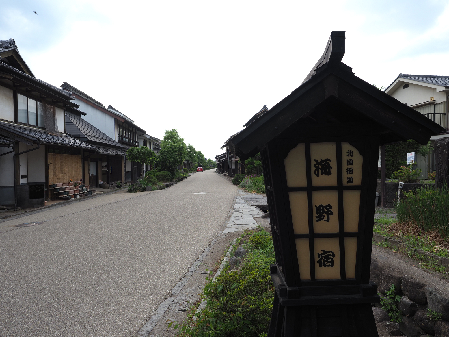 P6012235.jpg