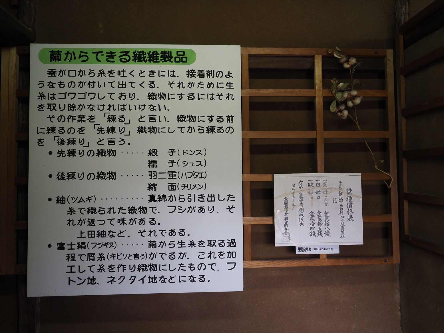 P6012298.jpg