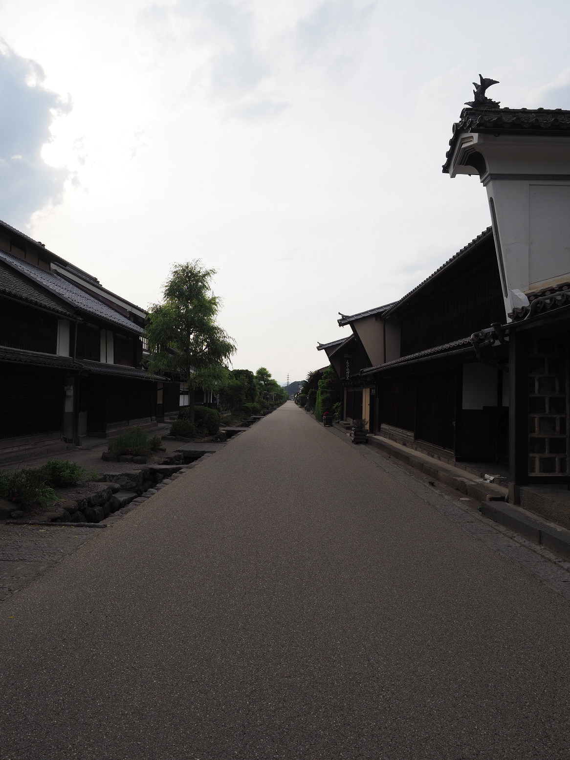 P6012330.jpg