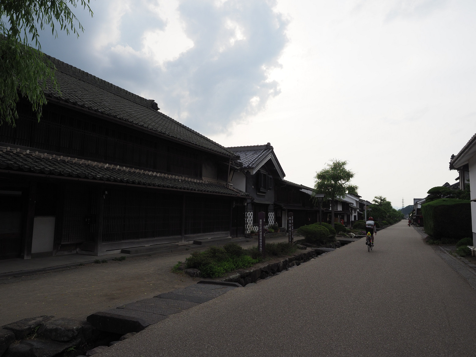 P6012335.jpg