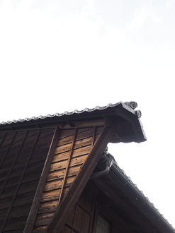 P6012382_thumb.png
