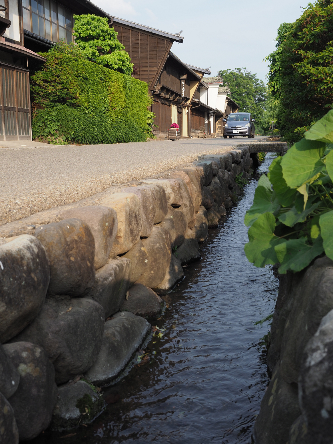 P6012401.jpg