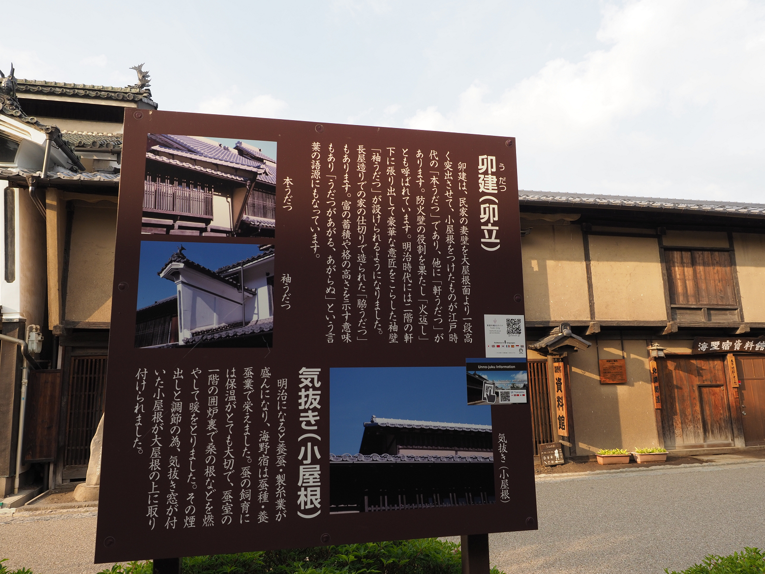 P6012425.jpg