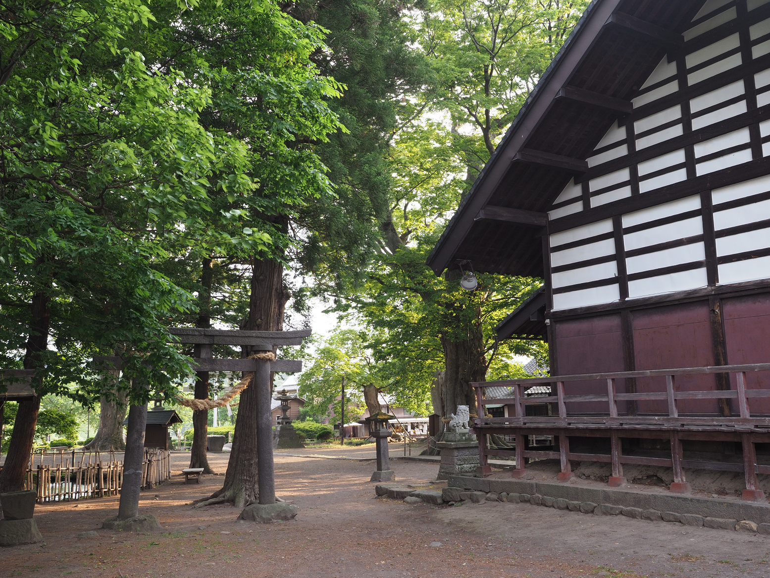 P6012444.jpg