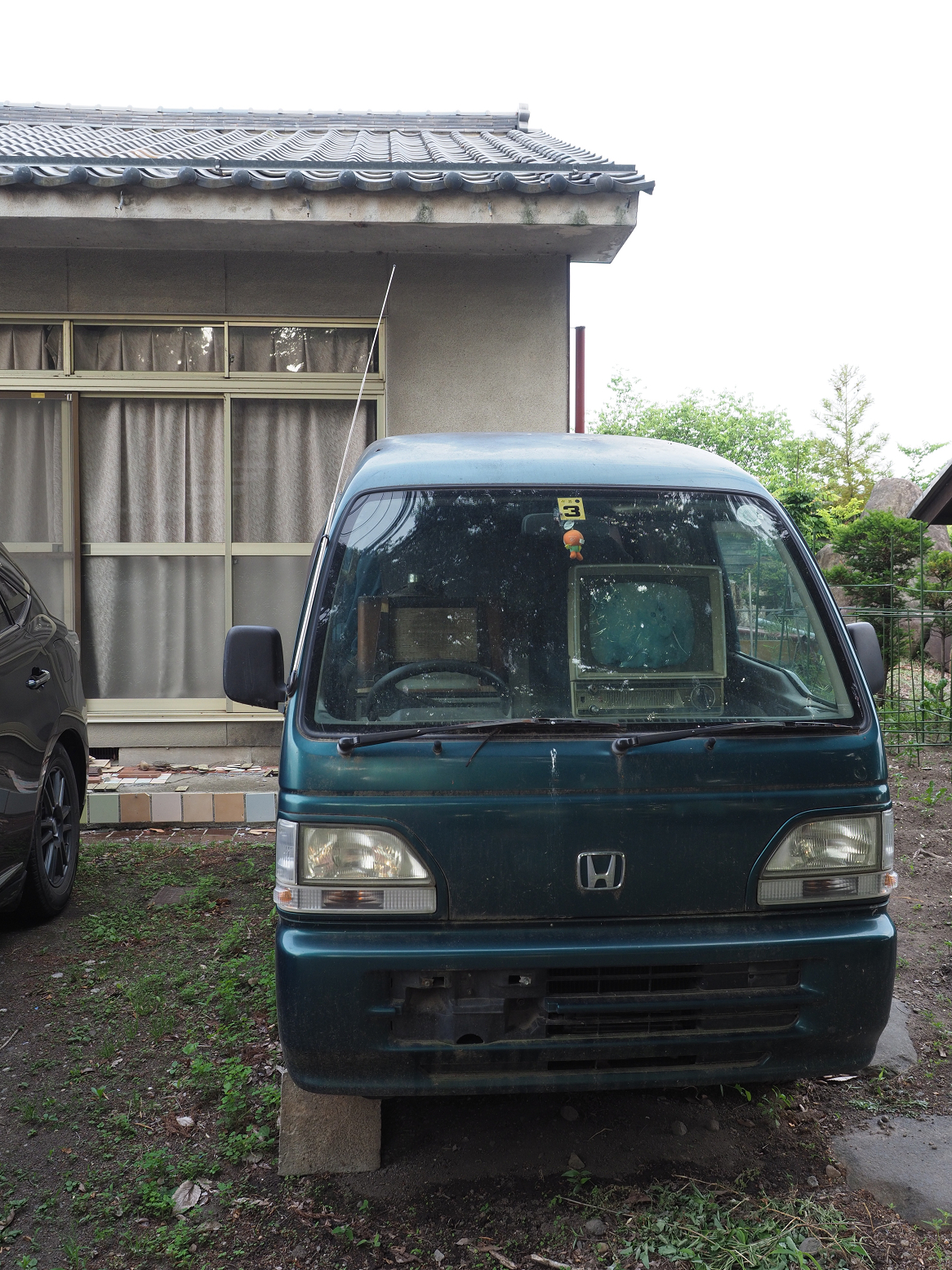 P6012446.jpg