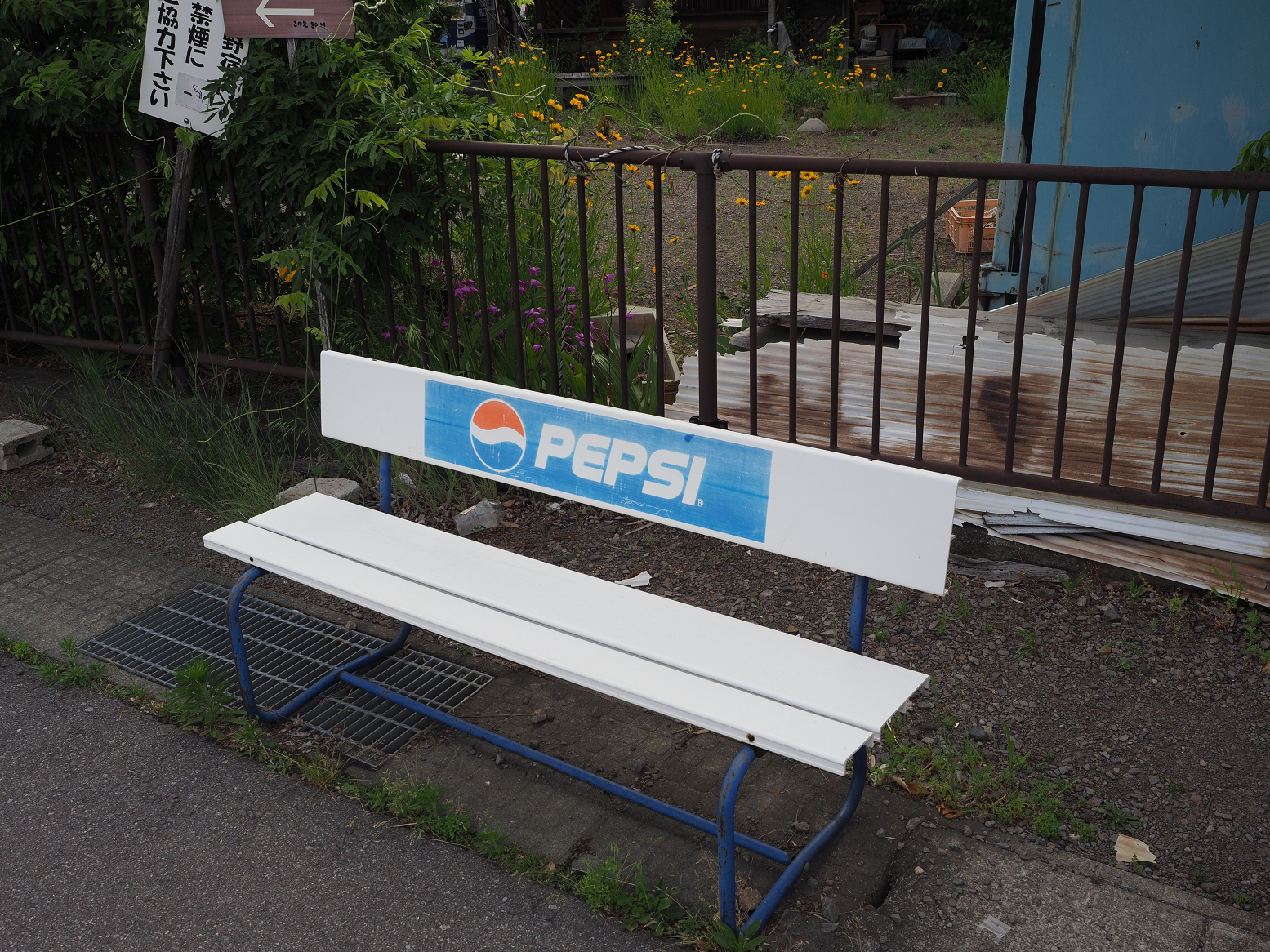 P6012447.jpg