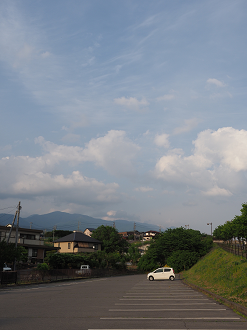 P6012452_thumb.png
