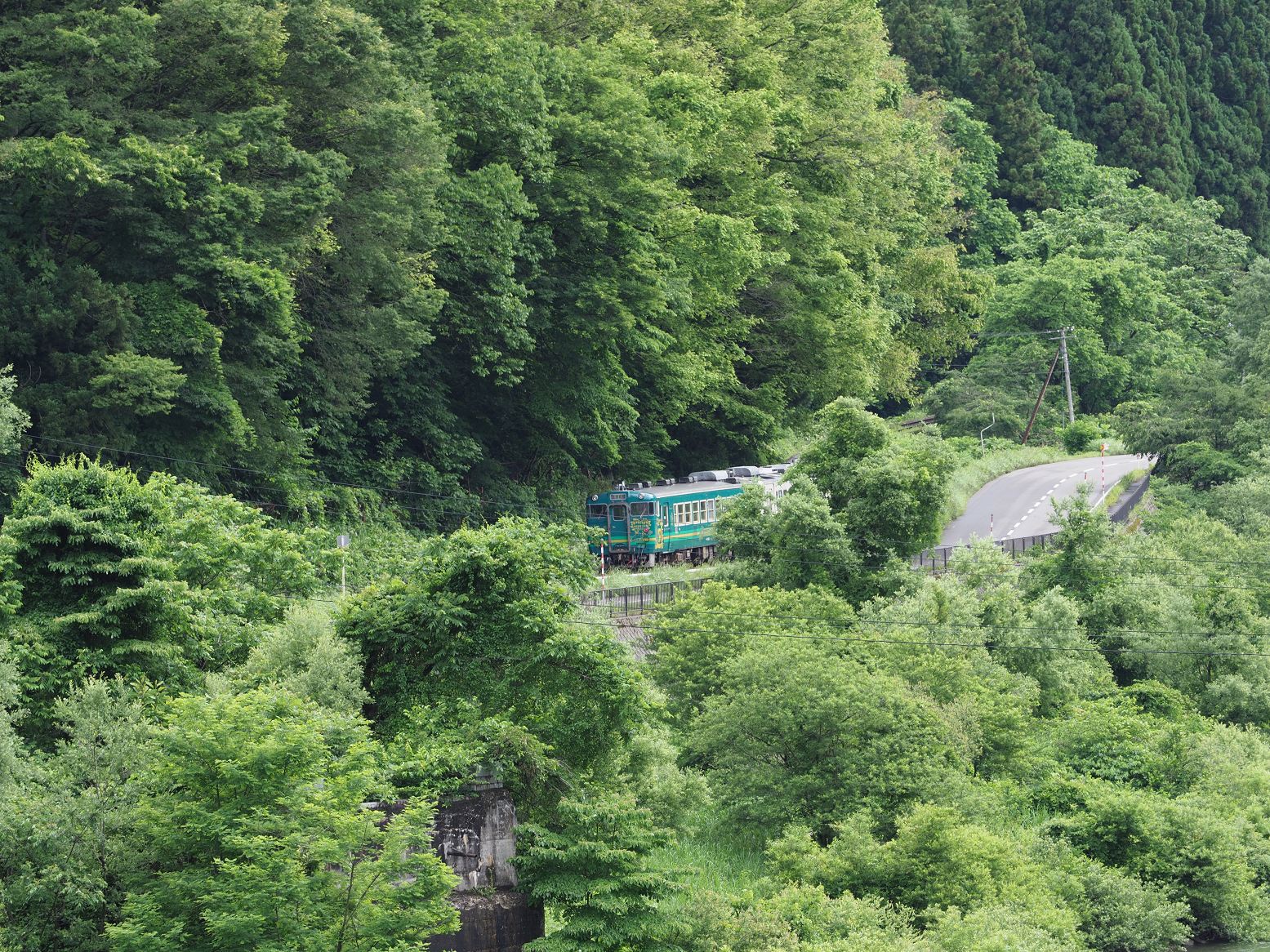P6170250.jpg