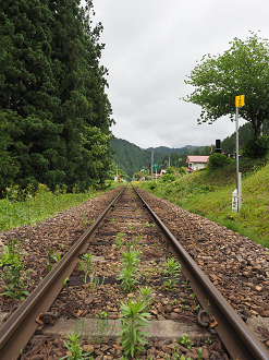 P6170312_thumb.png