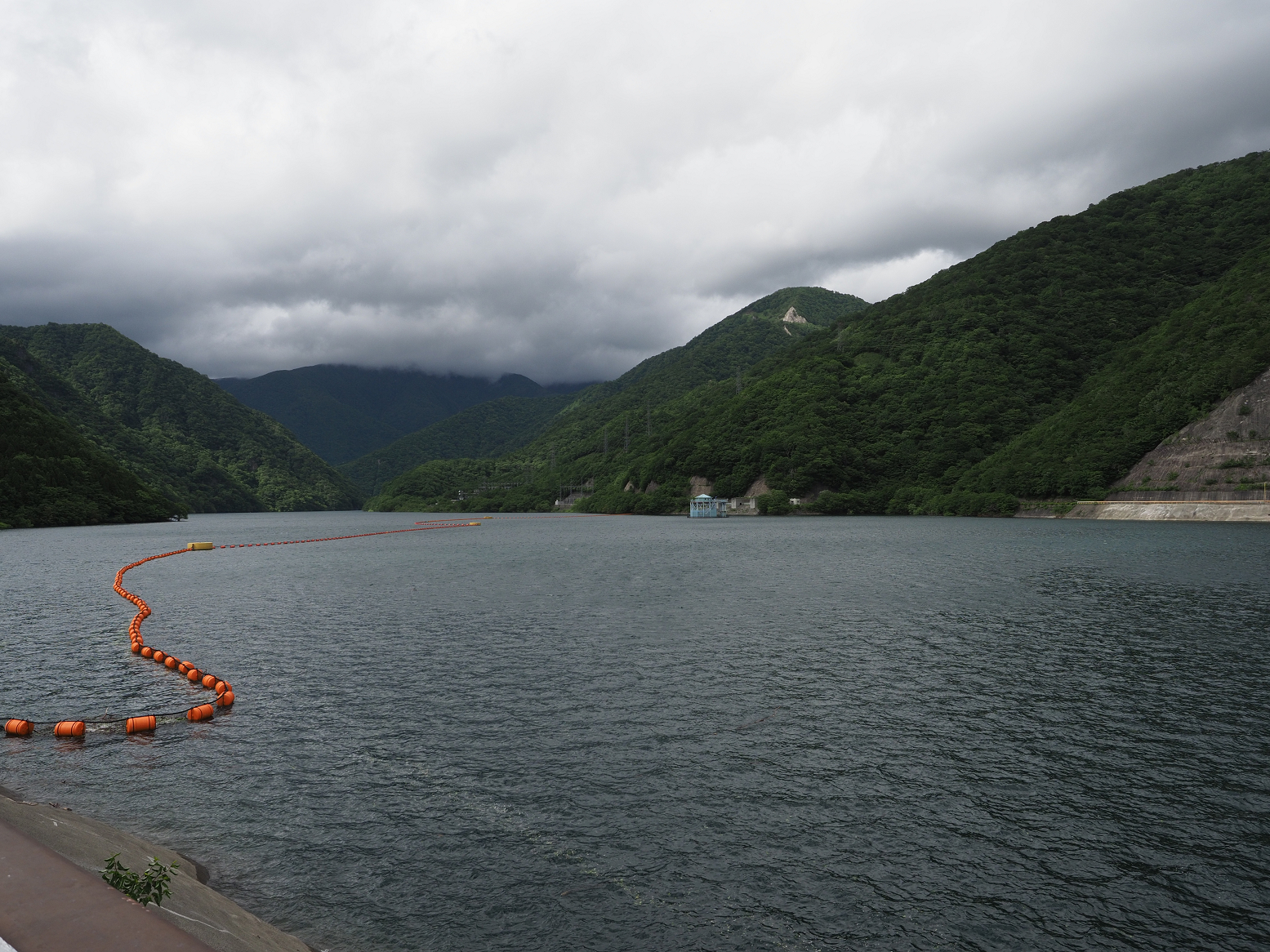 P6170361.jpg