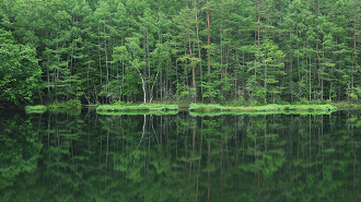 P7020049-2k_thumb.png