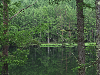 P7020054_thumb.png