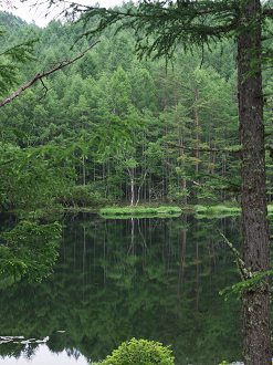 P7020056_thumb.png