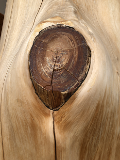 P7020057-21_thumb.png