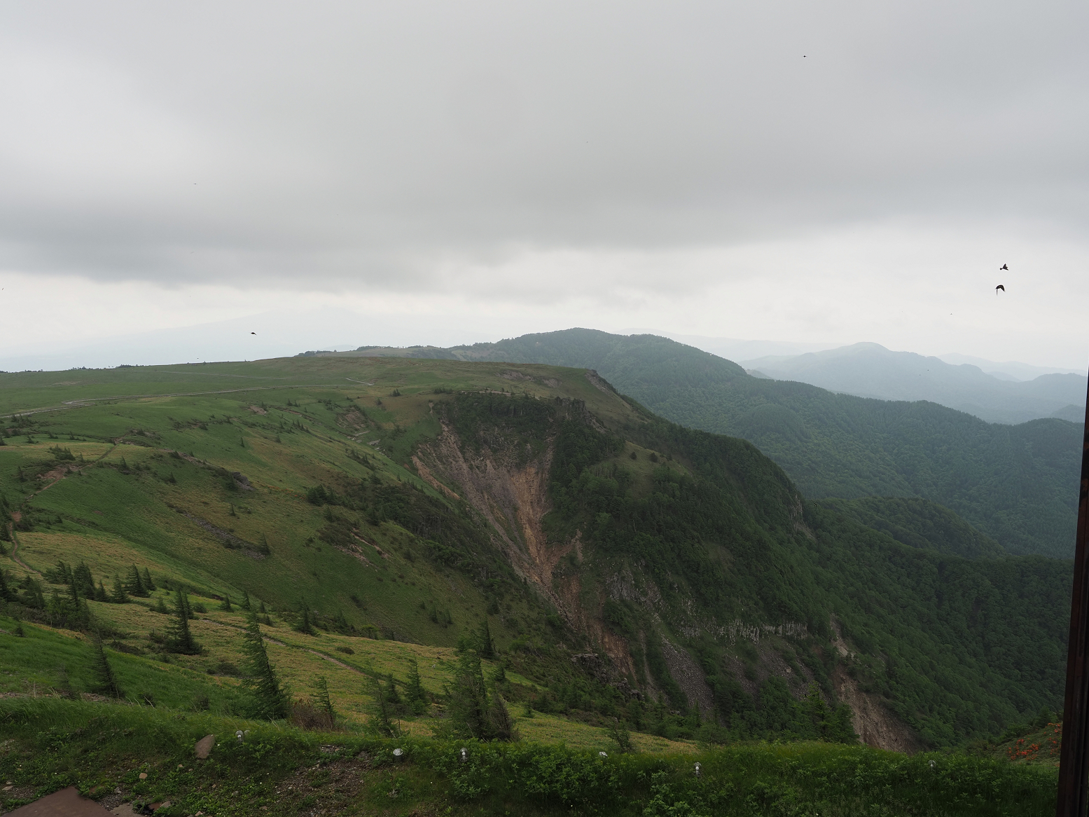 P7020254.jpg