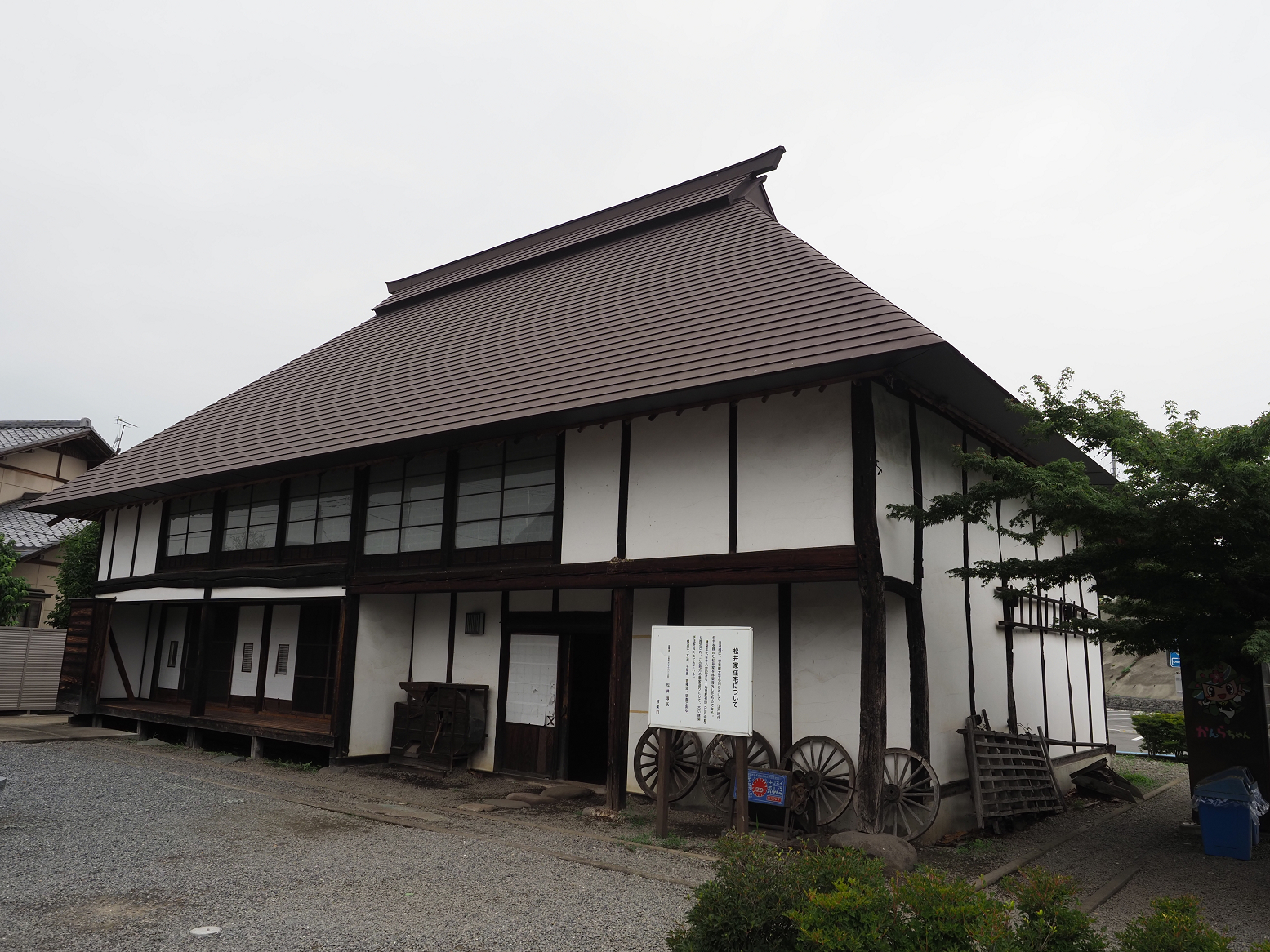P7030332.jpg