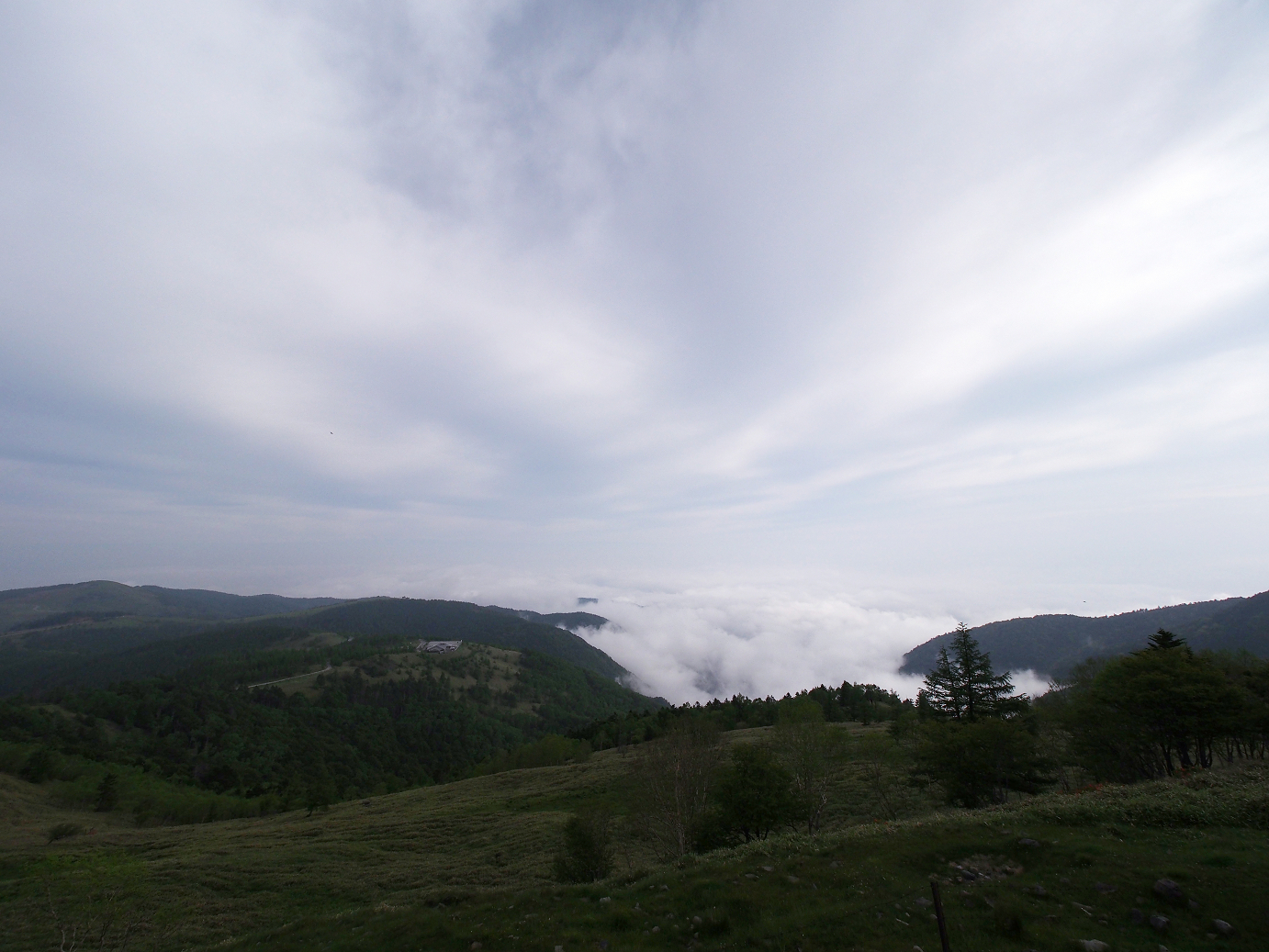 P7030042.jpg