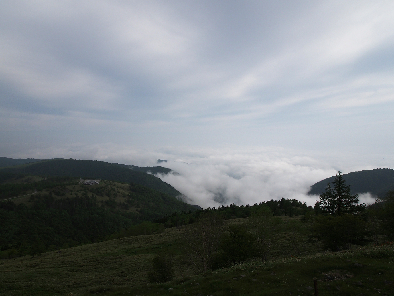P7030043.jpg