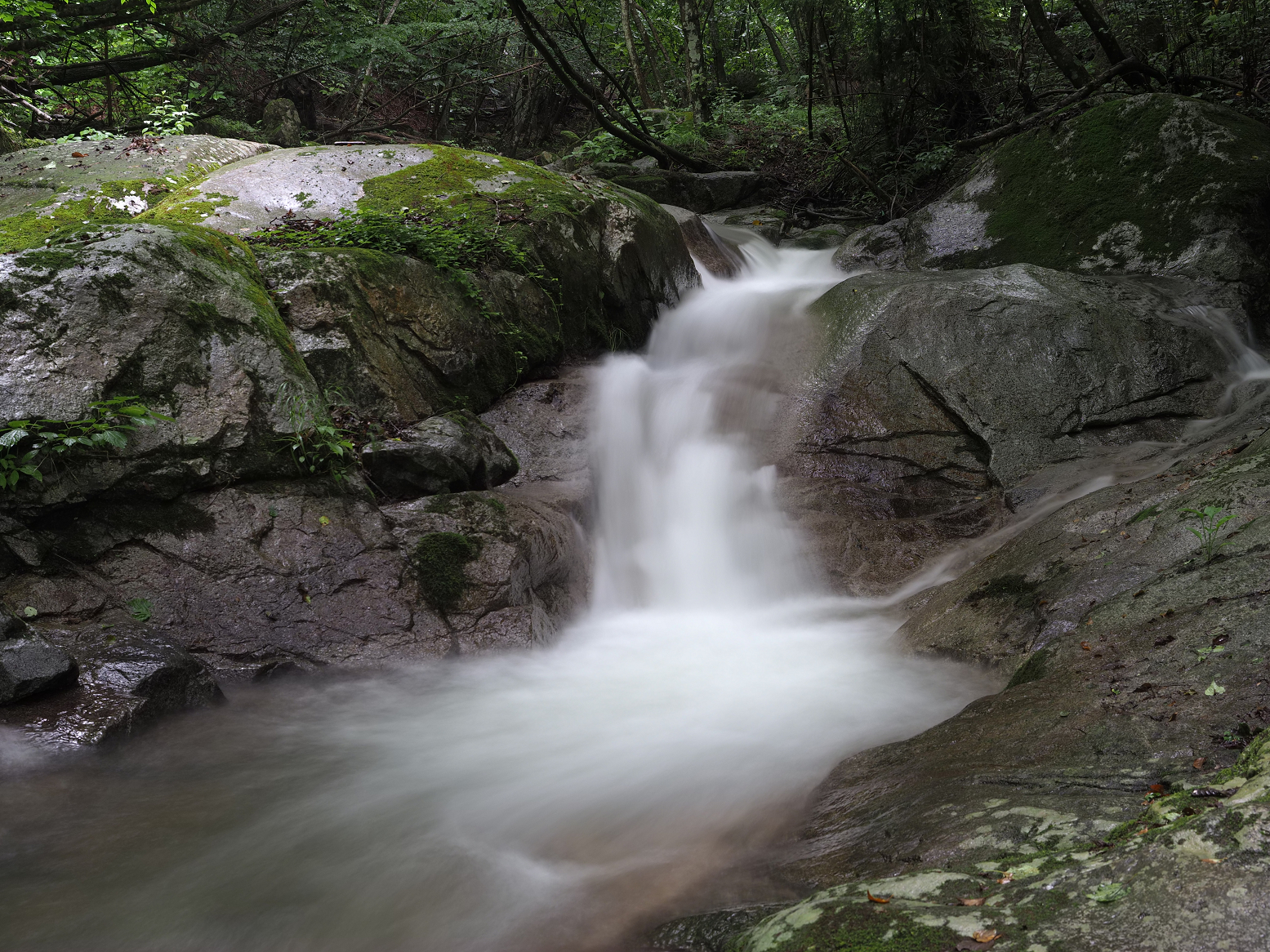 P7140231.jpg