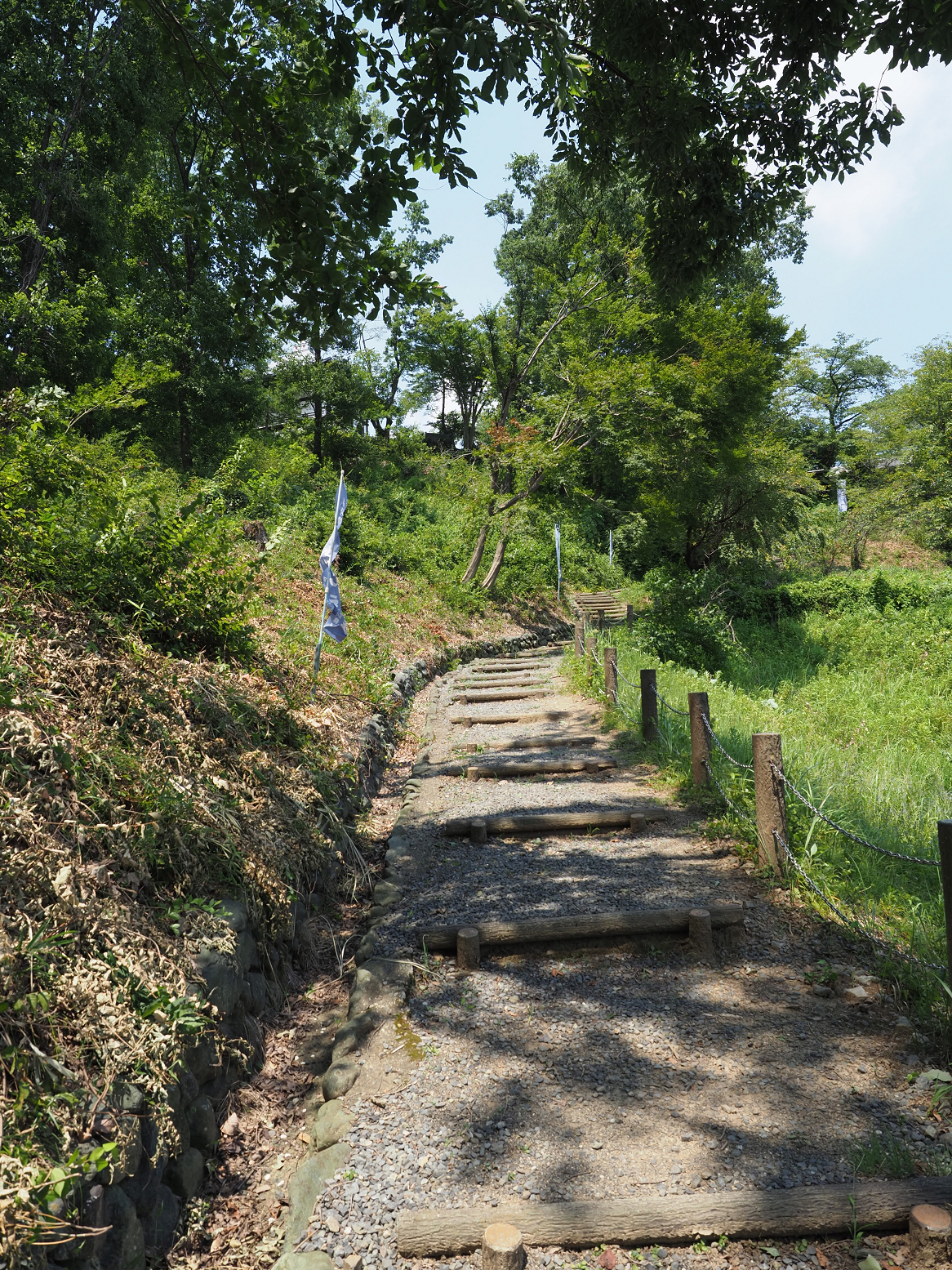 P8100003.jpg