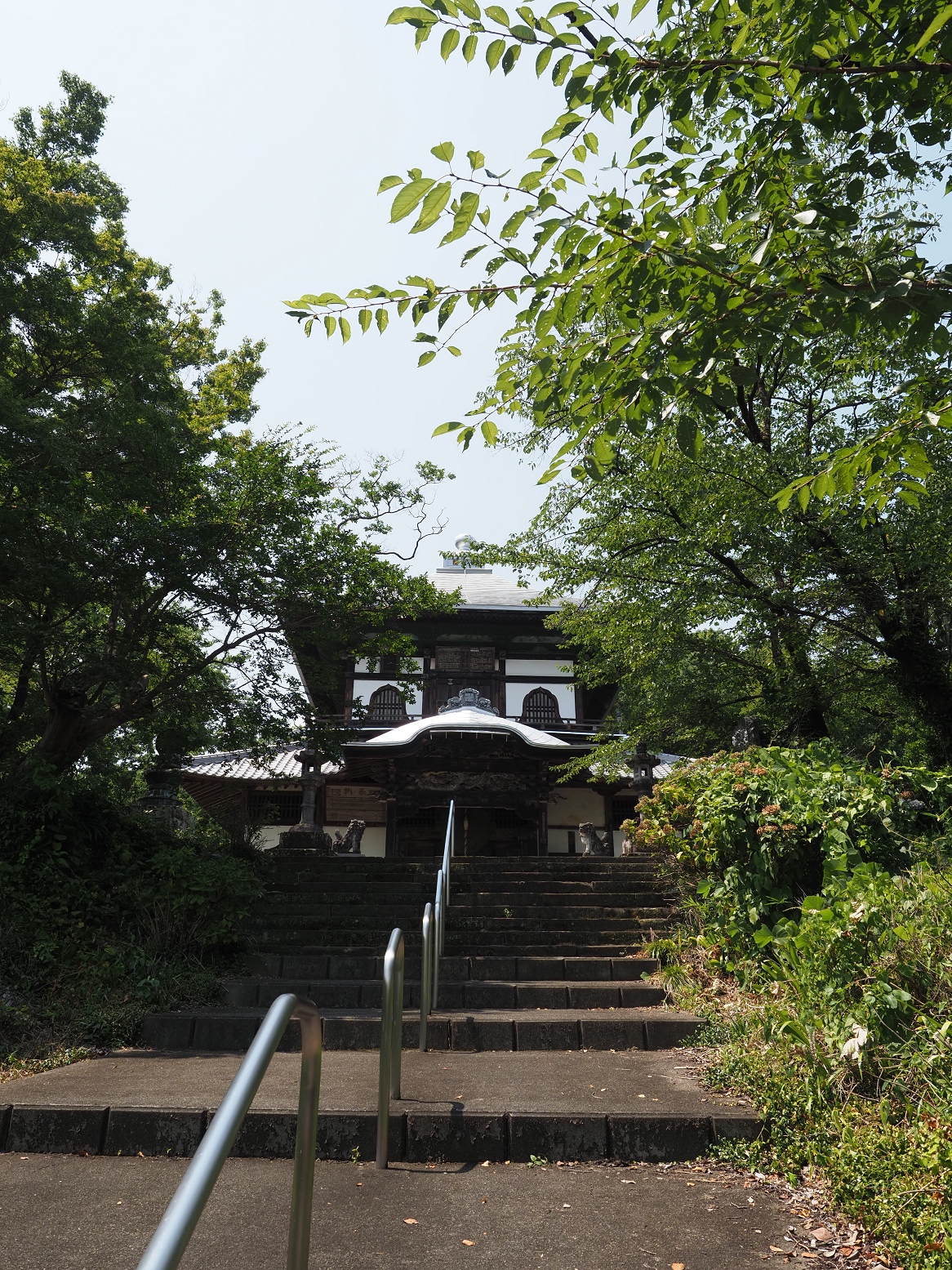 P8100007.jpg
