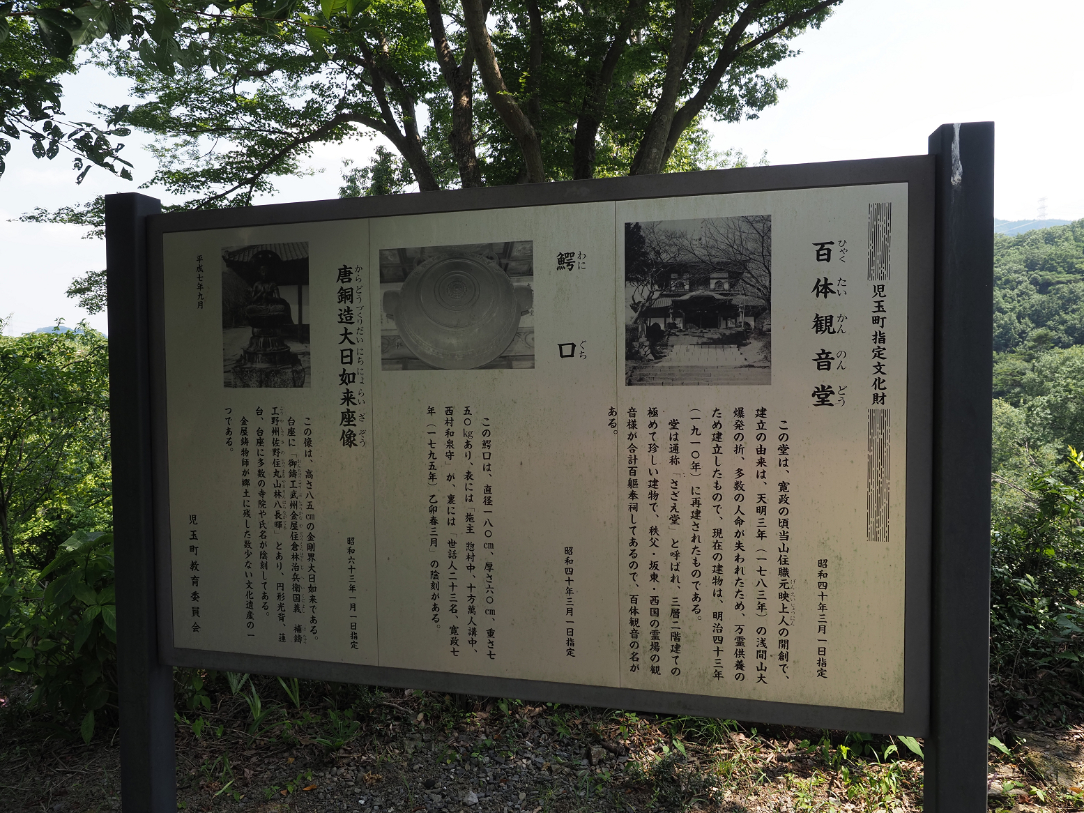 P8100109.jpg