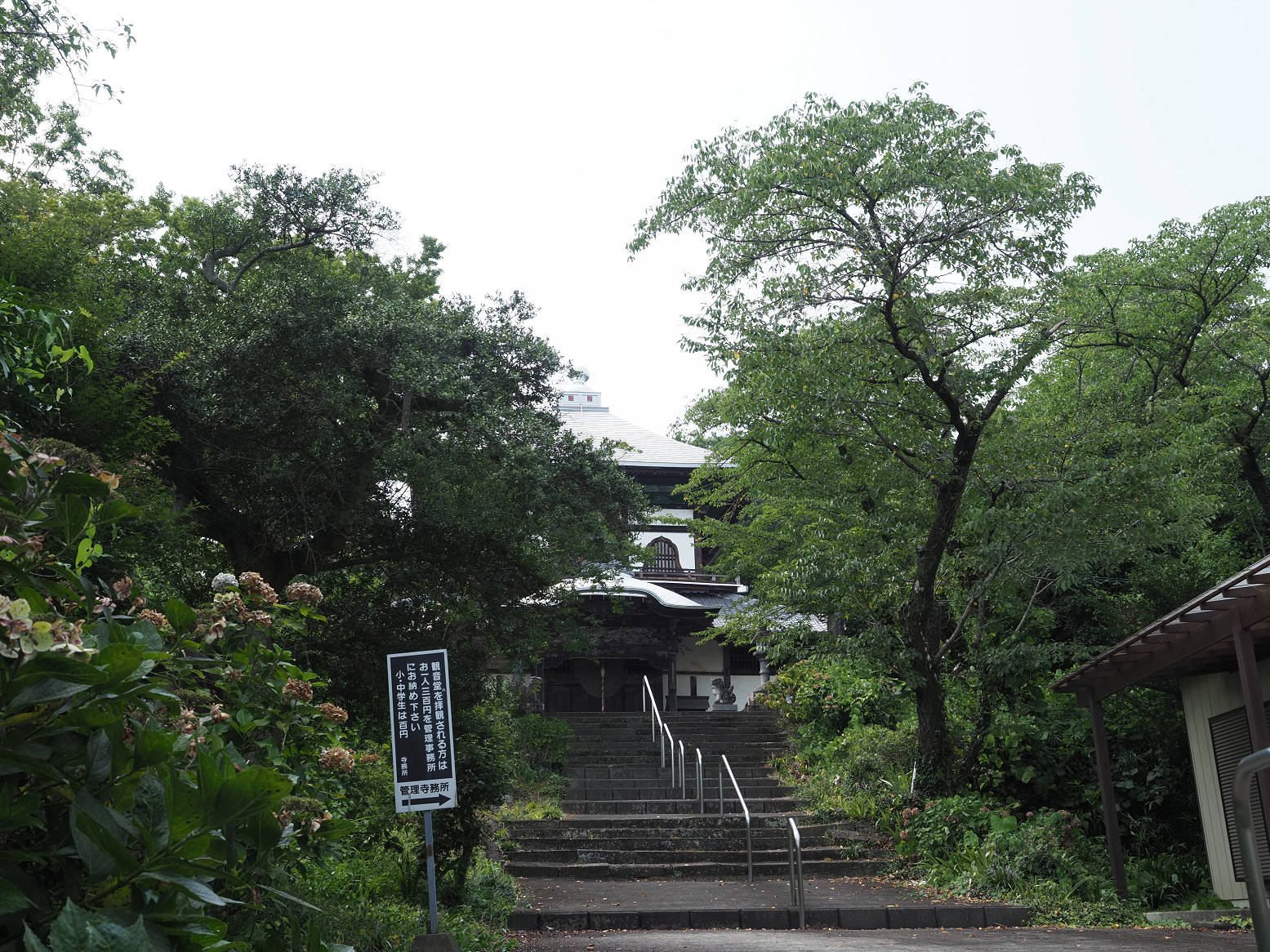 P8100115.jpg
