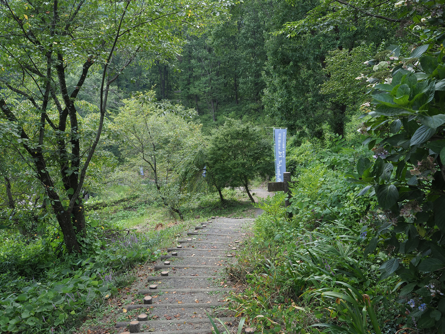 P8100116.jpg