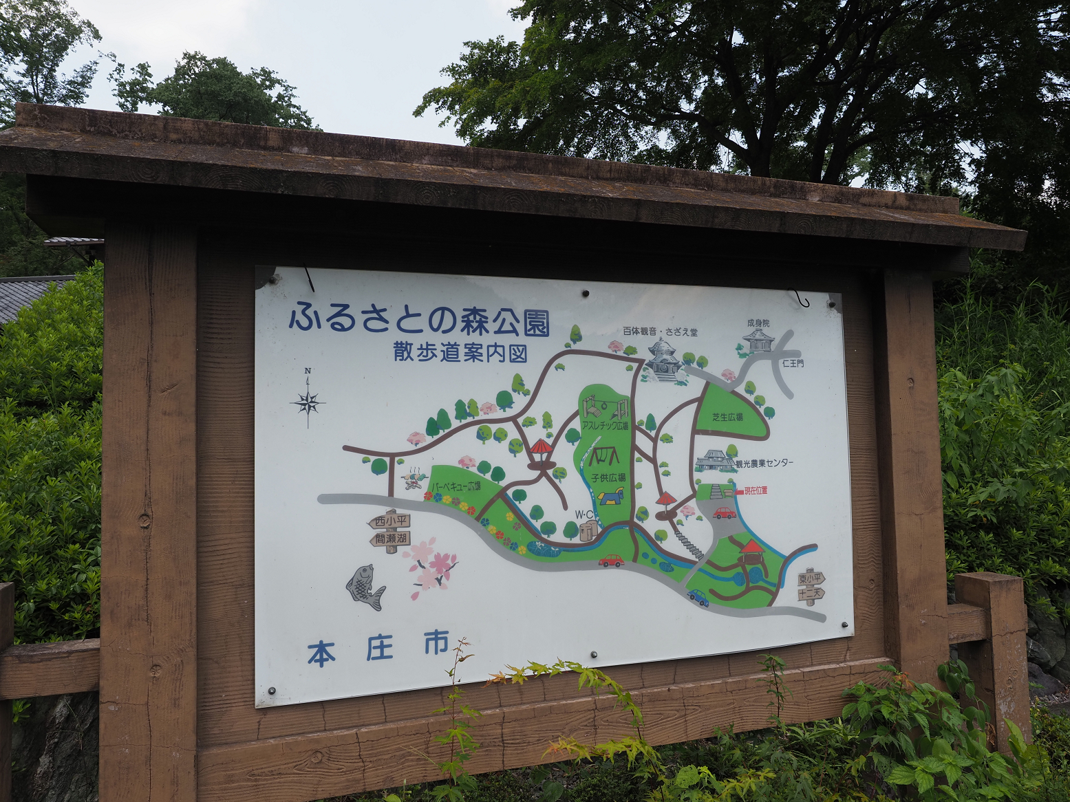 P8100120.jpg