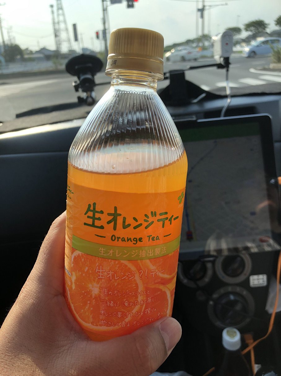 P8100140-07.jpg