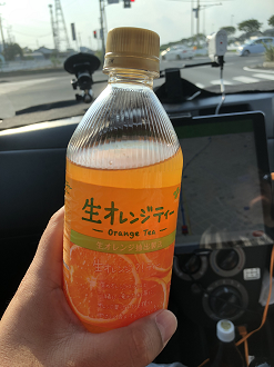P8100140-07_thumb.png