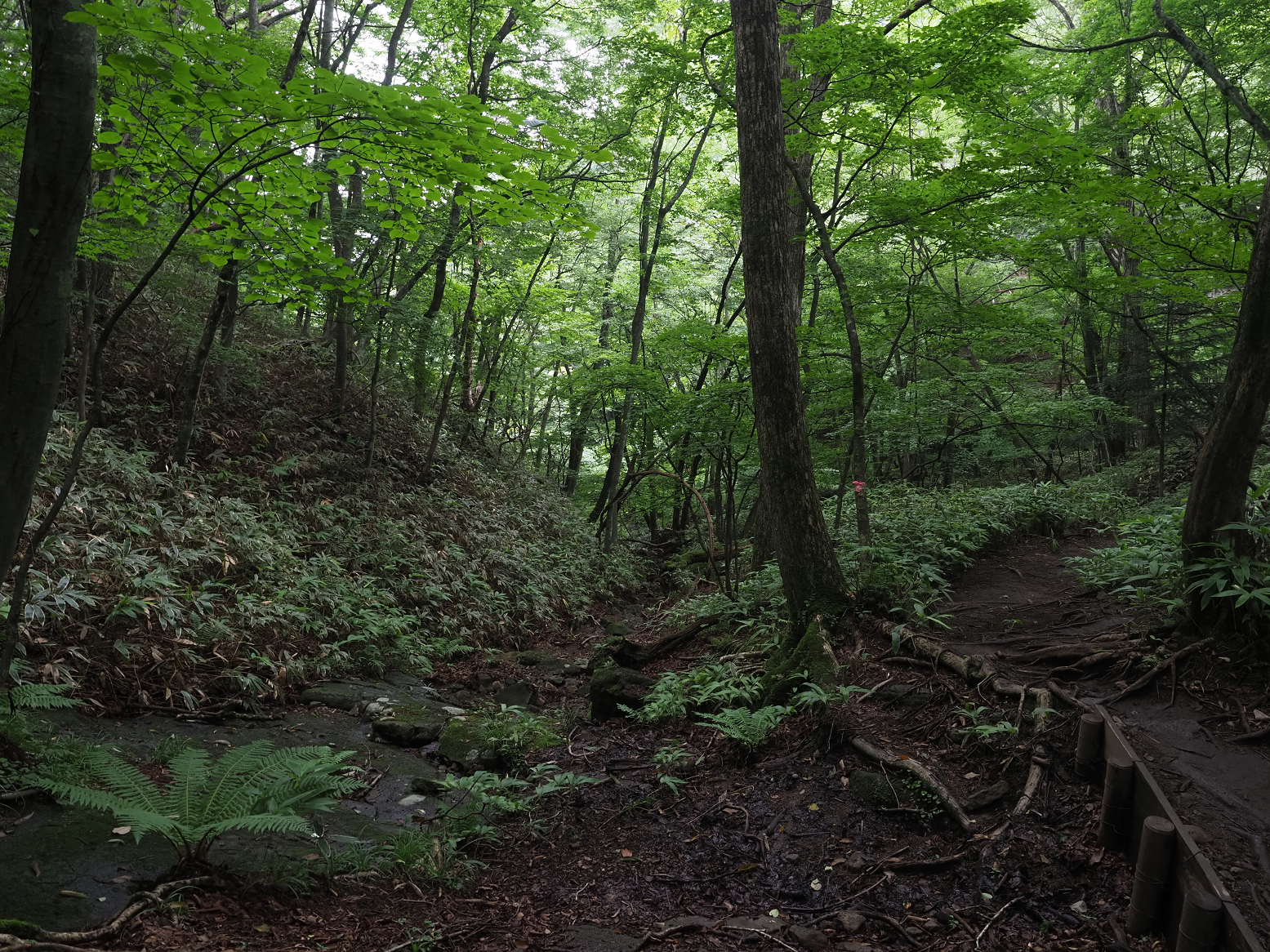 P8110077.jpg