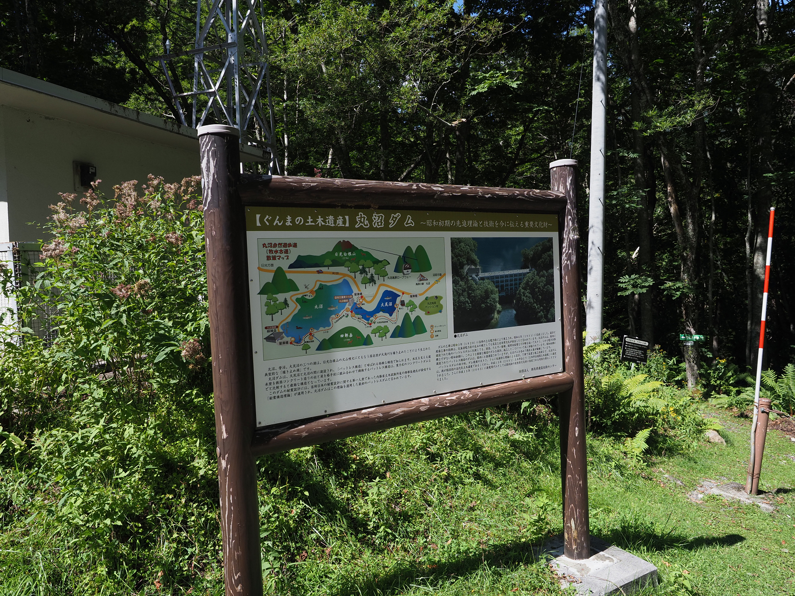 P9150162.jpg