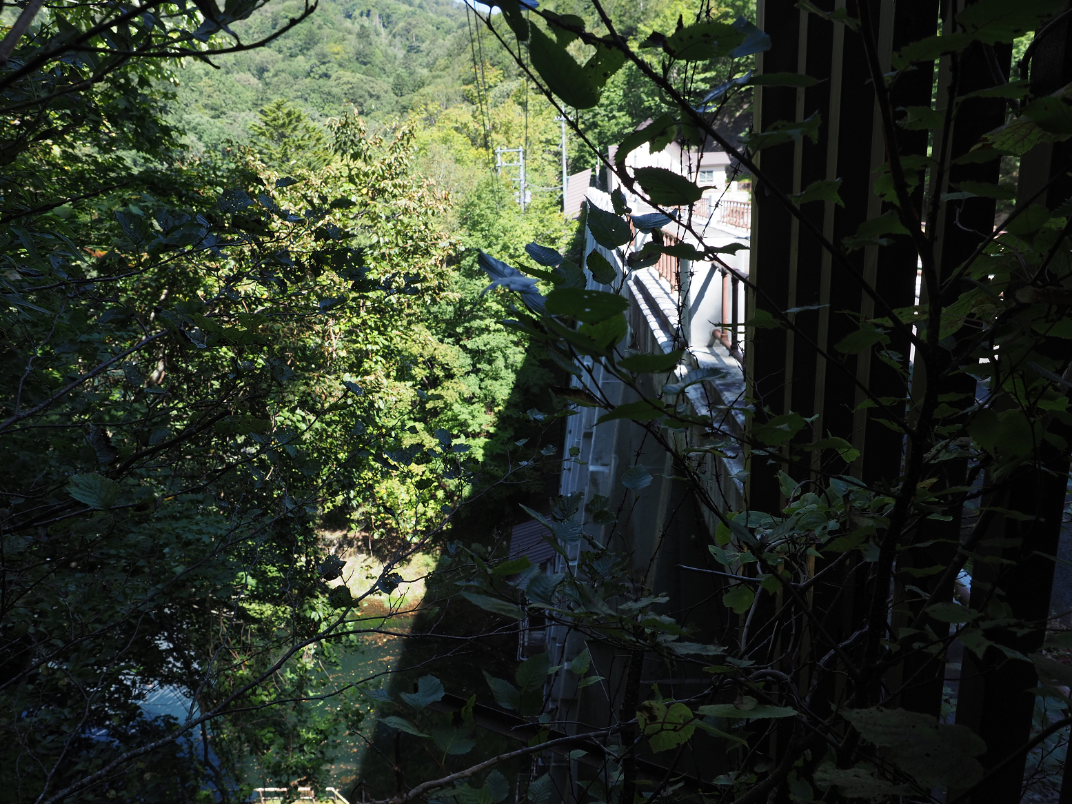P9150163.jpg