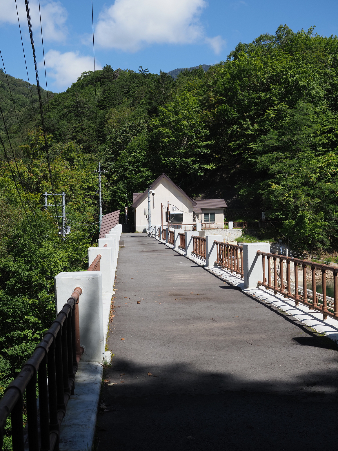P9150164.jpg